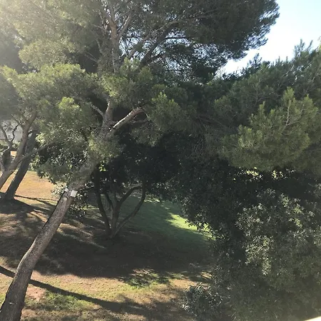 Apart-hotel Maeva Clubhotel Raphael 3*